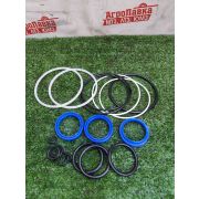 Ремкомплект гидроцилиндра ЦС-100 (старого образца) 438